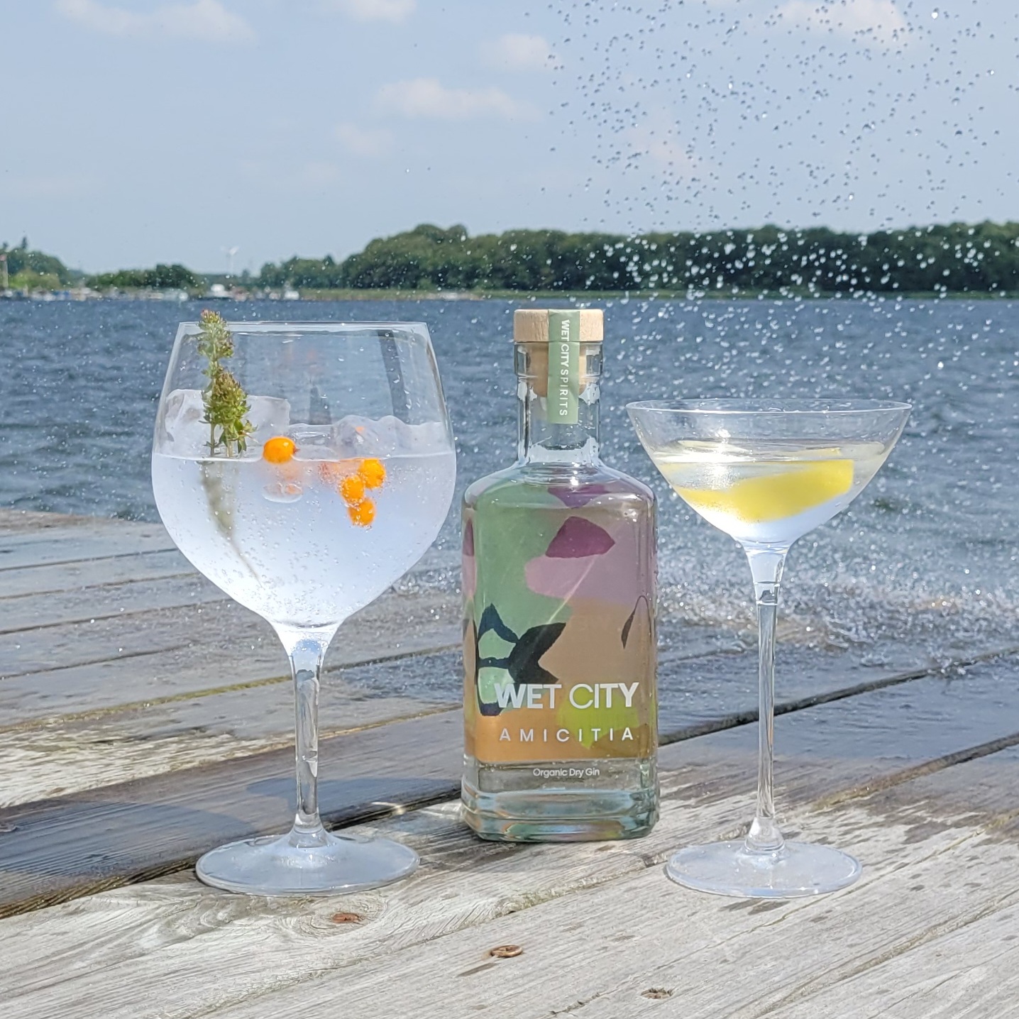 Wet City Spirits Amicitia Organic Dry Gin
